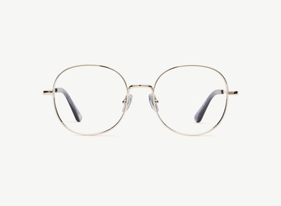 A pair of eyeglasses called the Guardian in Silver colour