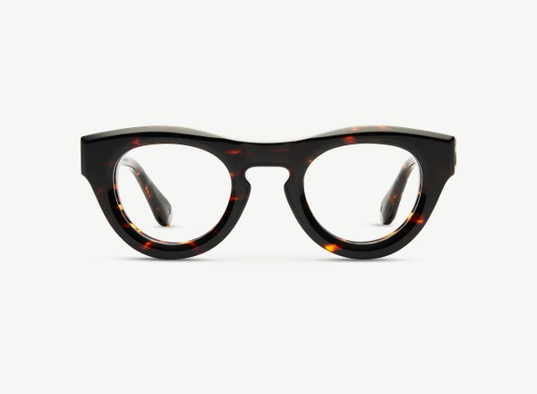 Front view of a pair of eyeglasses called the Nino in Casablanca