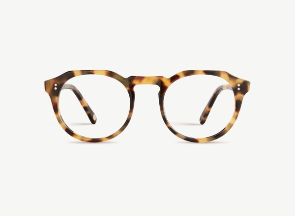 Front view of a pair of eyeglasses called the Sculptor in Turtle