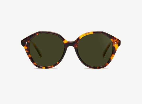 Front view of a pair of eyeglasses called the Angel in Tortoise