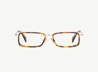 A pair of eyeglasses called the Pulse in Tortoise colour