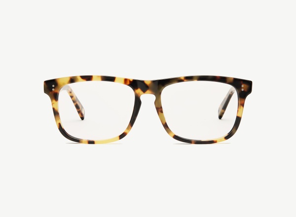 Front view of a pair of eyeglasses called the Captain in Turtle