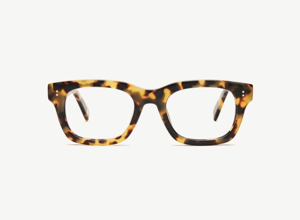 Front view of a pair of eyeglasses called the Partner in Turtle