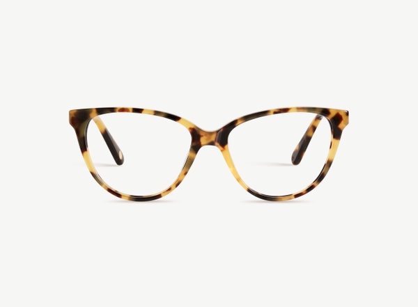 Front view of a pair of eyeglasses called the Cutie in Turtle
