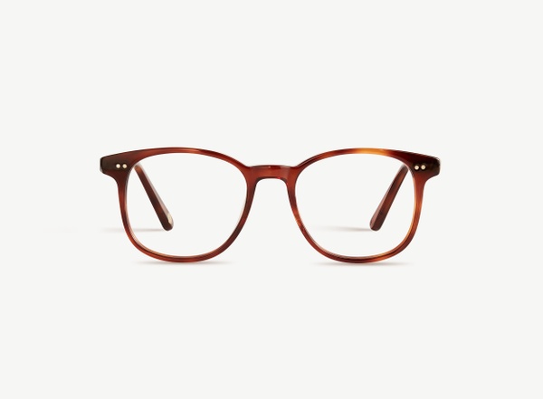 Front view of a pair of eyeglasses called the Wonder in Havana