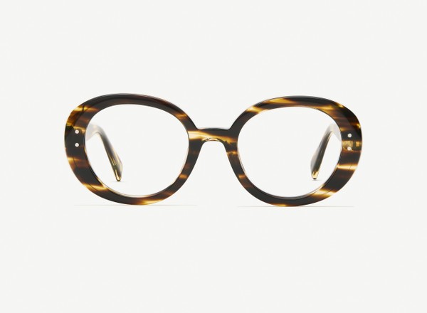 Front view of a pair of eyeglasses called the Collector in Tobacco