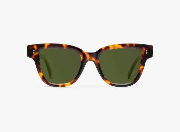 Front view of a pair of eyeglasses called the Singer in Tortoise