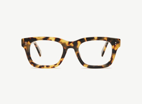 Front view of a pair of eyeglasses called the Partner in Turtle