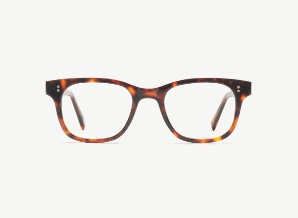 Front view of a pair of eyeglasses called the Creator in Tortoise