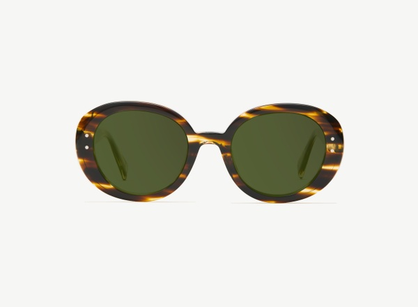 Front view of a pair of eyeglasses called the Collector in Tobacco