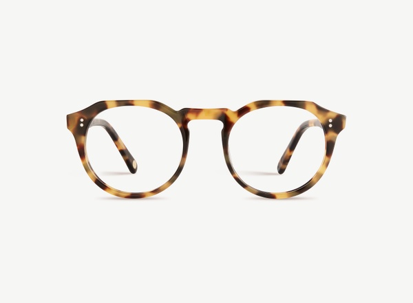 Front view of a pair of eyeglasses called the Sculptor in Turtle