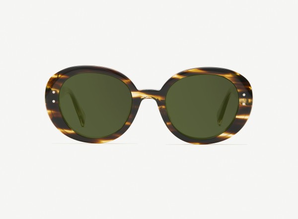Front view of a pair of eyeglasses called the Collector in Tobacco