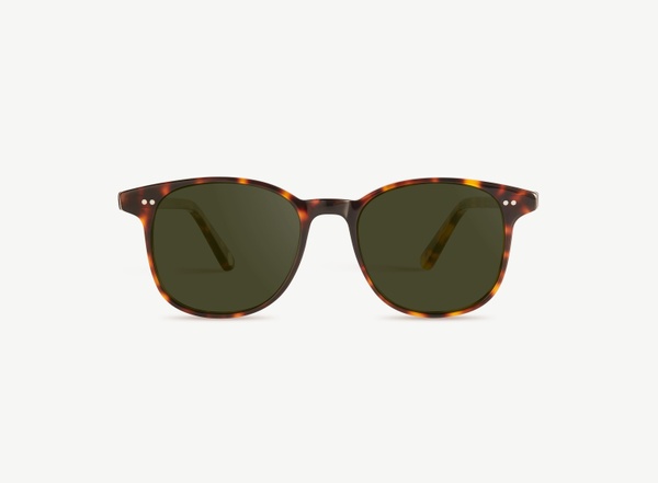 Front view of a pair of eyeglasses called the Wonder in Tortoise