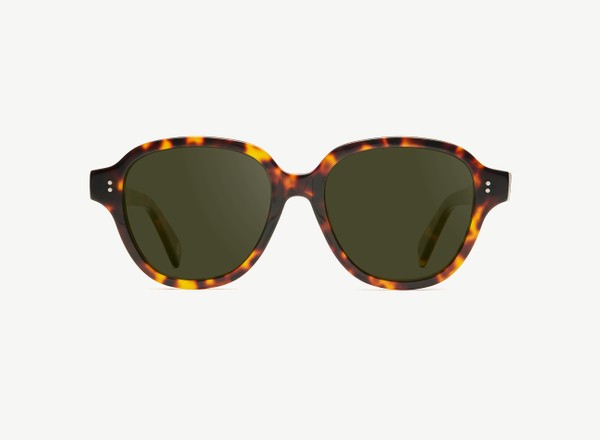 Front view of a pair of eyeglasses called the Altruist in Tortoise