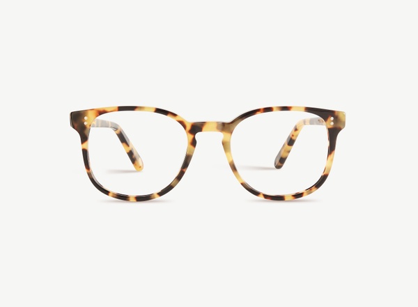 Front view of a pair of eyeglasses called the Superhero in Turtle