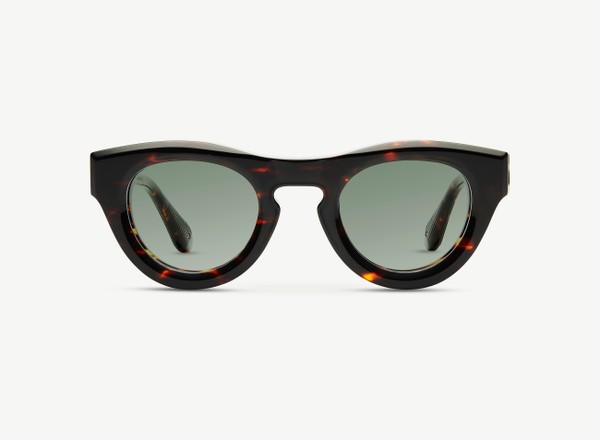 Front view of a pair of eyeglasses called the Nino in Casablanca