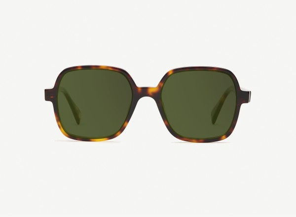 Front view of a pair of eyeglasses called the Reporter in Tortoise