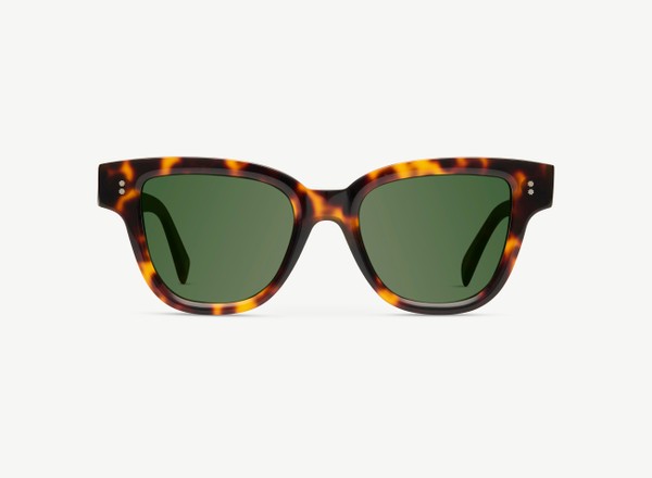 Front view of a pair of eyeglasses called the Singer in Tortoise