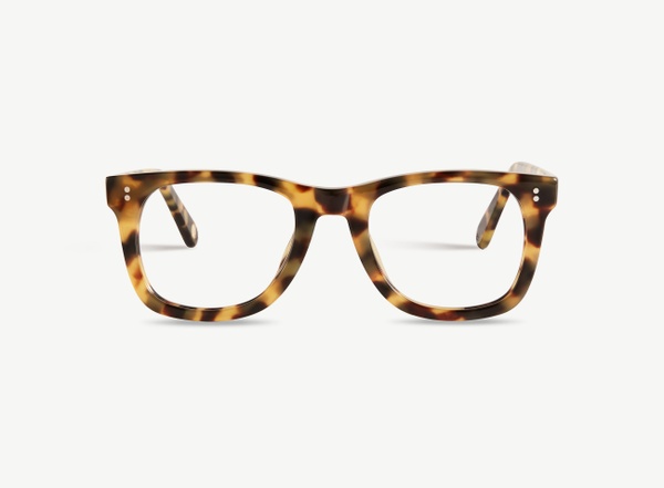 Front view of a pair of eyeglasses called the Mentor in Turtle