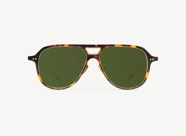 Front view of a pair of eyeglasses called the Aviator in Tortoise