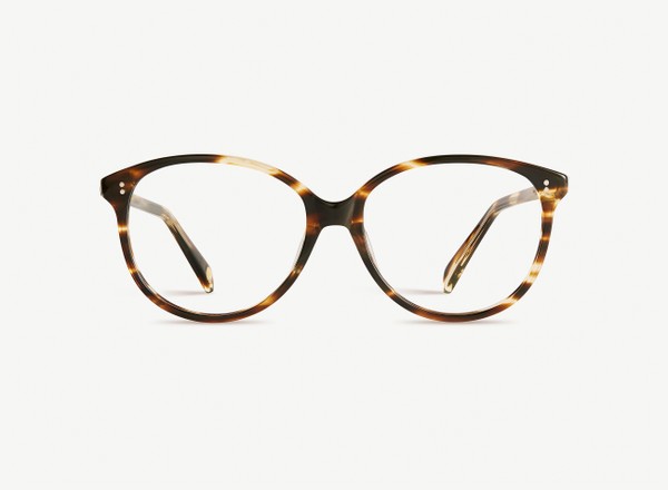 Front view of a pair of eyeglasses called the Stylist in Tobacco