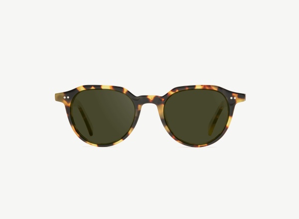 Front view of a pair of eyeglasses called the Director in Turtle