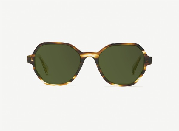 Front view of a pair of eyeglasses called the Storyteller in Tobacco