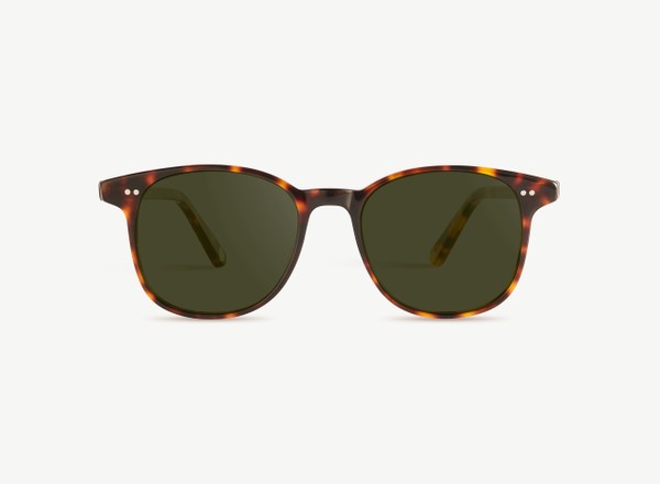Front view of a pair of eyeglasses called the Wonder in Tortoise