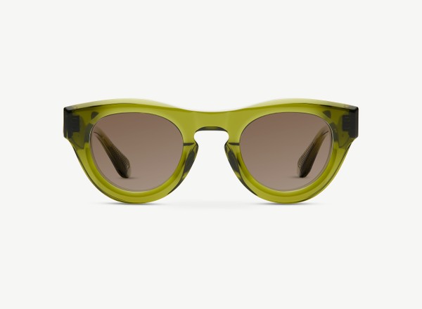 Front view of a pair of eyeglasses called the Nino in Khaki