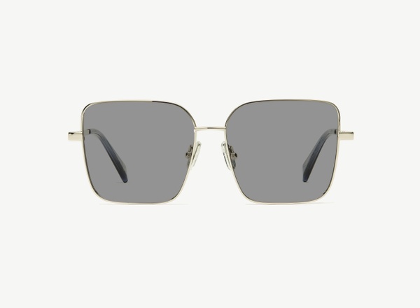 Front view of a pair of eyeglasses called the Writer in Silver