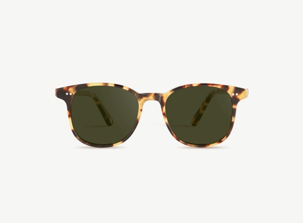 Front view of a pair of eyeglasses called the Wonder in Turtle