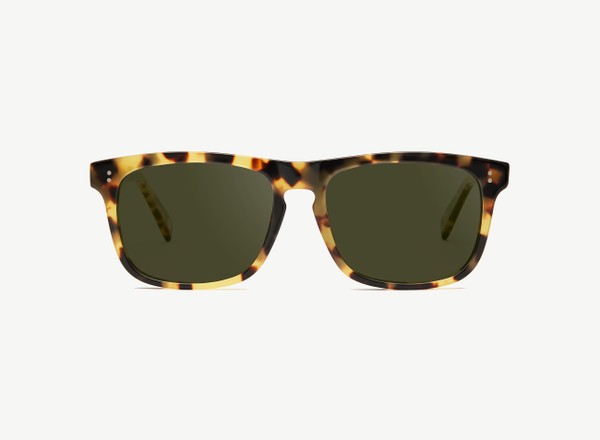 Front view of a pair of eyeglasses called the Captain in Turtle