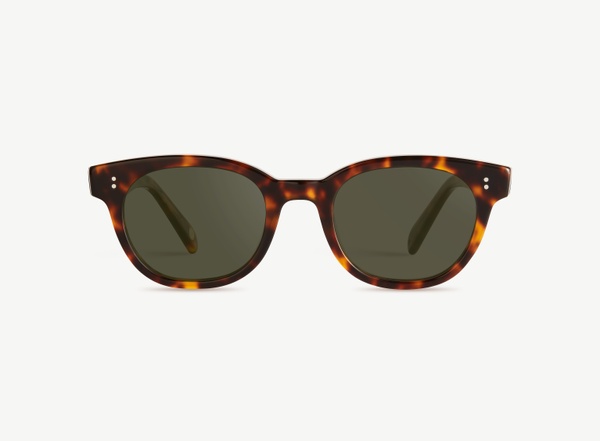 Front view of a pair of eyeglasses called the Epicure in Tortoise