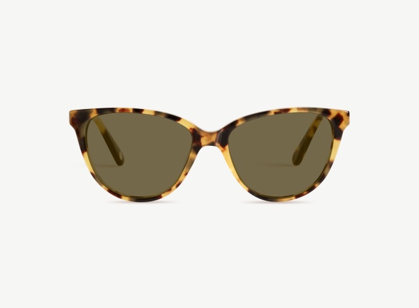 Front view of a pair of eyeglasses called the Cutie in Turtle