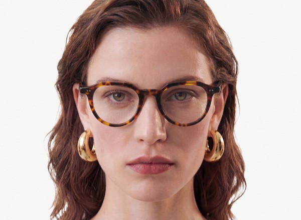 Front view of a pair of eyeglasses called the Director in Tortoise