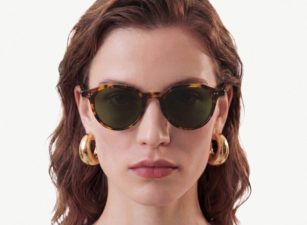 Front view of a pair of eyeglasses called the Director in Tortoise