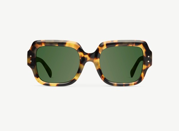 Front view of a pair of eyeglasses called the Provocateur in Turtle
