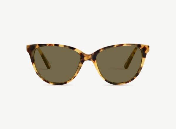 Front view of a pair of eyeglasses called the Cutie in Turtle