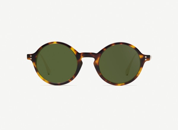 Front view of a pair of eyeglasses called the Curator in Tortoise