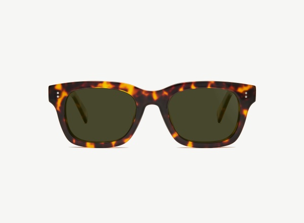 Front view of a pair of eyeglasses called the Partner in Tortoise