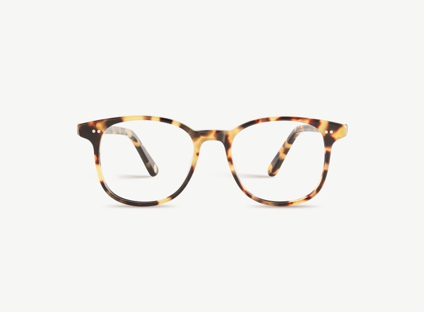 Front view of a pair of eyeglasses called the Wonder in Turtle
