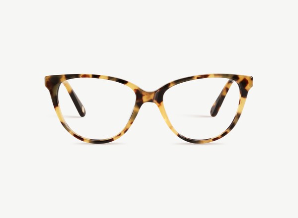 Front view of a pair of eyeglasses called the Cutie in Turtle