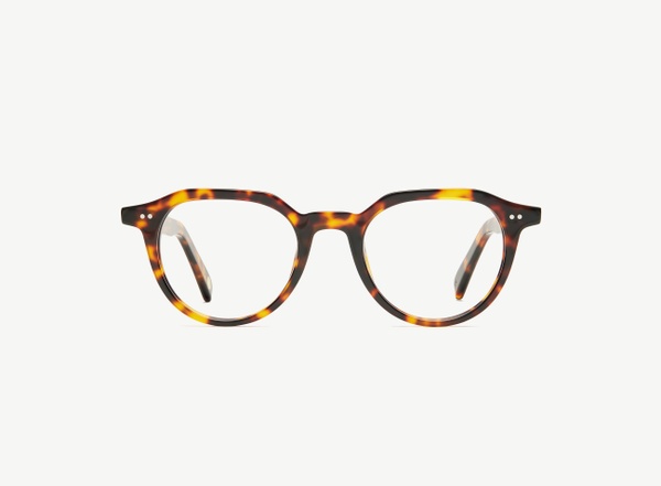 Front view of a pair of eyeglasses called the Director in Tortoise