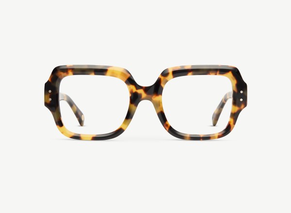 Front view of a pair of eyeglasses called the Provocateur in Turtle