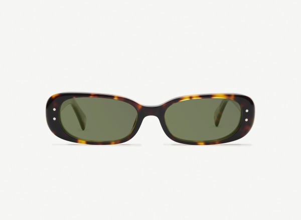 Front view of a pair of eyeglasses called the Nomad in Tortoise