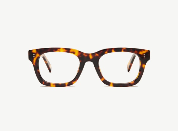 Front view of a pair of eyeglasses called the Partner in Tortoise