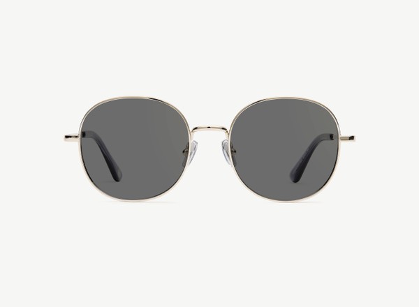 Front view of a pair of eyeglasses called the Guardian in Silver