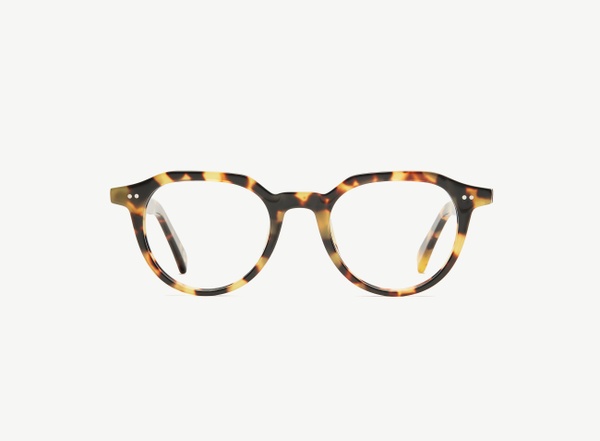 Front view of a pair of eyeglasses called the Director in Turtle