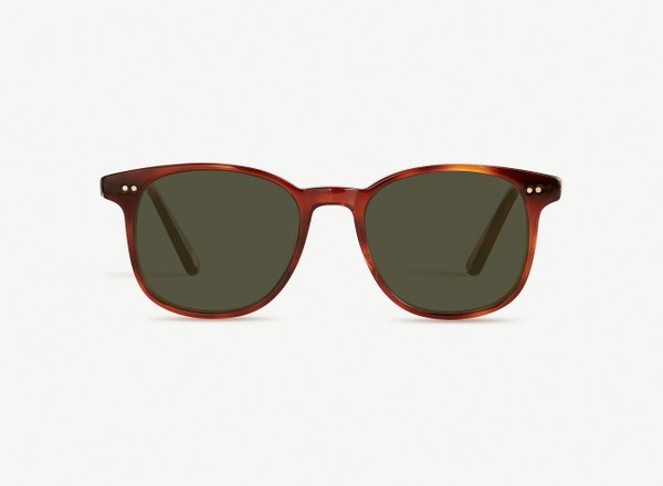 Front view of a pair of eyeglasses called the Wonder in Havana