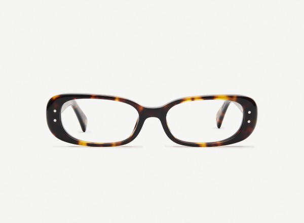 Front view of a pair of eyeglasses called the Nomad in Tortoise